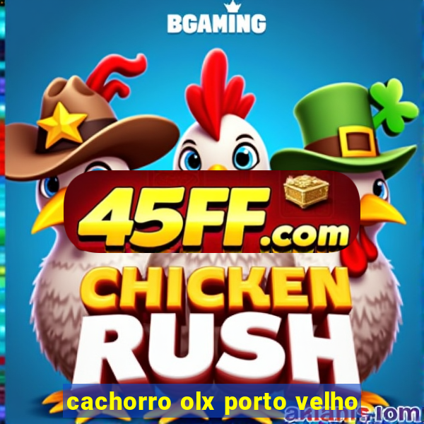 cachorro olx porto velho